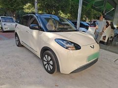 Wuling Binguo 333km Joy Edition - photo 3
