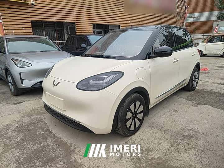 Wuling Binguo 333km Joy Edition - car from China