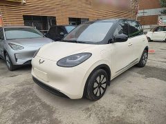 Wuling Binguo 333km Joy Edition - photo 1