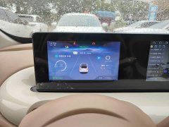 Wuling Binguo 333km Joy Edition - photo 11