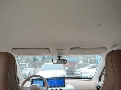 Wuling Binguo 333km Joy Edition - photo 17