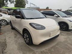 Wuling Binguo 333km Joy Edition - photo 3
