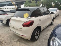 Wuling Binguo 333km Joy Edition - photo 6
