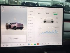 Nio Lerado L60 60kWh Rear-Wheel Drive - ფოტო 11