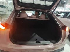 Nio Lerado L60 60kWh Rear-Wheel Drive - ფოტო 18