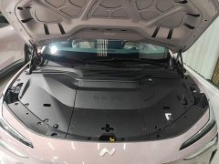 Nio Lerado L60 60kWh Rear-Wheel Drive - ფოტო 19