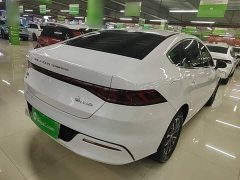 BYD Qin PLUS Glory Edition DM-i 55KM Leading - фото 6