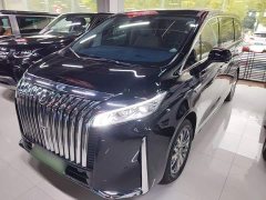 Great Wall WEY Shanshan New Energy Four-Wheel Drive Flagship Edition - photo 1