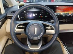 Great Wall WEY Shanshan New Energy Four-Wheel Drive Flagship Edition - photo 10