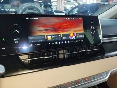 Great Wall WEY Shanshan New Energy Four-Wheel Drive Flagship Edition - photo 12