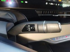 Great Wall WEY Shanshan New Energy Four-Wheel Drive Flagship Edition - photo 13