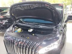 Great Wall WEY Shanshan New Energy Four-Wheel Drive Flagship Edition - photo 19