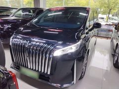 Great Wall WEY Shanshan New Energy Four-Wheel Drive Flagship Edition - photo 2