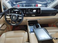 Great Wall WEY Shanshan New Energy Four-Wheel Drive Flagship Edition - photo 9