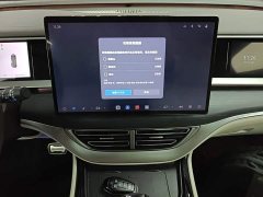 Denza D9 DM-i Smart Drive 1020 Four-Wheel Drive Flagship - photo 12
