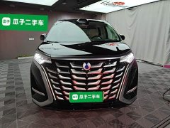 Denza D9 DM-i Smart Drive 1020 Four-Wheel Drive Flagship - photo 2