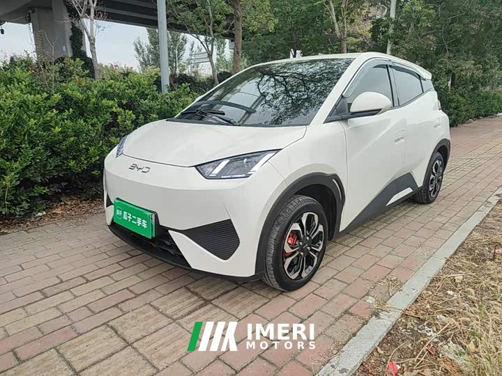 BYD Seagull Smart Drive 305km Vitality Edition - автомобиль из Китая