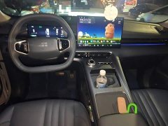 Geely Galaxy E5 530km Explorer Edition - photo 12