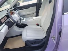 Geely Star Wish 410km Explorer Edition - ფოტო 14
