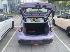 Geely Star Wish 410km Explorer Edition - ფოტო 18