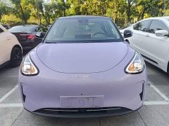 Geely Star Wish 410km Explorer Edition - ფოტო 2