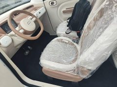 FAW Besturn Xiaoma 222km Agile Edition - photo 14