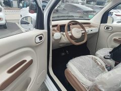 FAW Besturn Xiaoma 222km Agile Edition - photo 15
