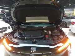 Buick Junyue 28T Platinum Edition - photo 19