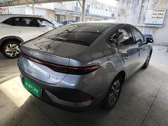 BYD Qin PLUS DM-i Smart Drive Edition 55KM Leading - photo 6