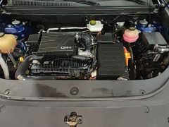 BYD Song Pro New Energy DM-i 110km Flagship Pro - фото 19