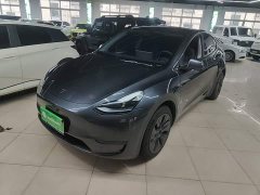 Tesla Model Y Rear-Wheel Drive - фото 1