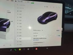 Tesla Model Y Rear-Wheel Drive - фото 11