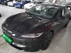 Tesla Model 3 Rear-Wheel Drive - photo 1