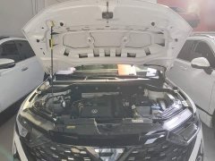 Volkswagen Jetta VS5 280TSI Automatic Pioneer Edition - photo 19
