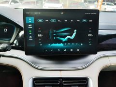 BYD Song Plus New Energy DM-i 110KM Flagship Plus - photo 12