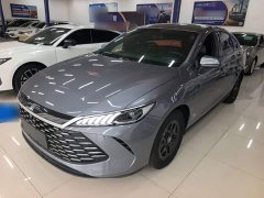 BYD Qin PLUS DM-i Smart Drive Edition 55KM Leading - photo 1