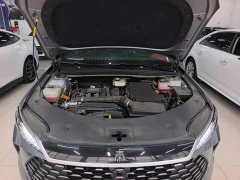 BYD Qin PLUS DM-i Smart Drive Edition 55KM Leading - photo 19