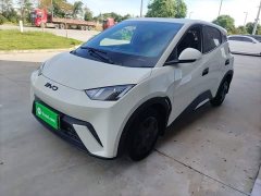 BYD Seagull 305km Vitality Edition - ფოტო 1