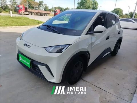 2025 BYD Seagull 305km Vitality Edition - ავტომობილი ჩინეთიდან