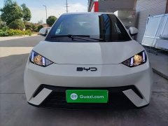BYD Seagull 305km Vitality Edition - ფოტო 2