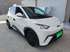 BYD Seagull 305km Vitality Edition - ფოტო 3