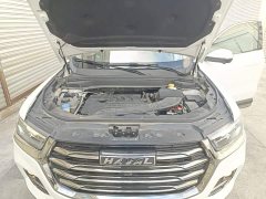 Haval H6 National Trend 1.5T Automatic Champion Edition - ფოტო 19