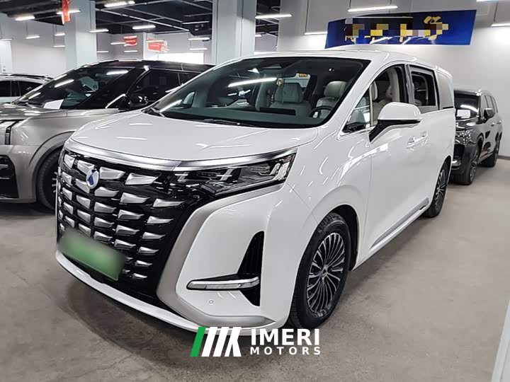 Denza D9 DM-i 1040 Premium - автомобиль из Китая