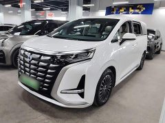 Denza D9 DM-i 1040 Premium - фото 1