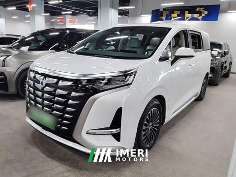 2023 Denza D9 DM-i 1040 Premium - car from China