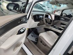 Denza D9 DM-i 1040 Premium - фото 15