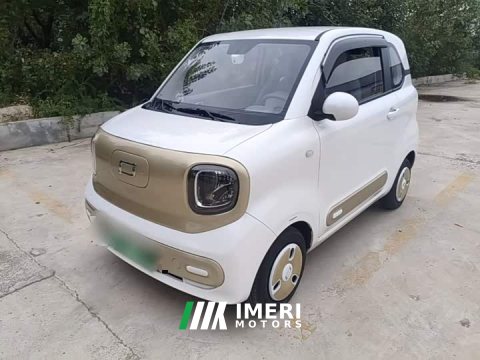 2024 FAW Besturn Xiaoma 170km Vitality Edition - ავტომობილი ჩინეთიდან