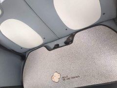 FAW Besturn Xiaoma 170km Vitality Edition - photo 16