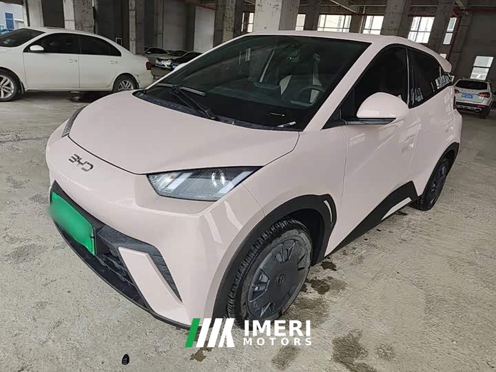 BYD Seagull Glory Edition 305km Vitality Version