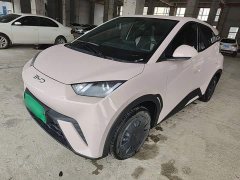 BYD Seagull Glory Edition 305km Vitality Version - photo 1